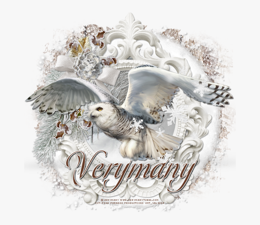Transparent White Owl Png - Snowy Owl, Png Download, Free Download
