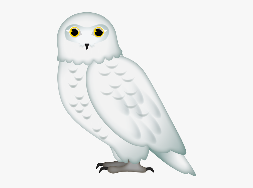 Snowy Owl, HD Png Download, Free Download