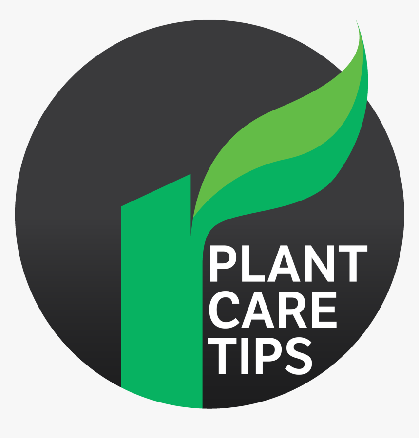Plantcare Tip Icon - Prohibido Fumar, HD Png Download, Free Download