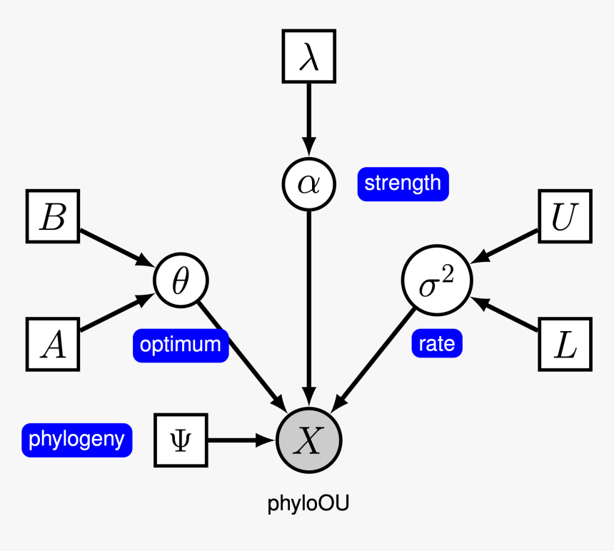 Diagram, HD Png Download, Free Download