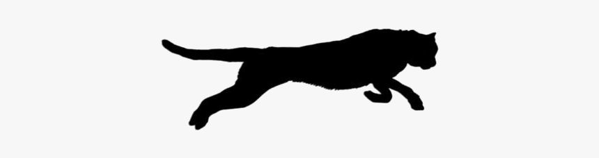 Cheetah Running Png Hd Image - Puma, Transparent Png, Free Download