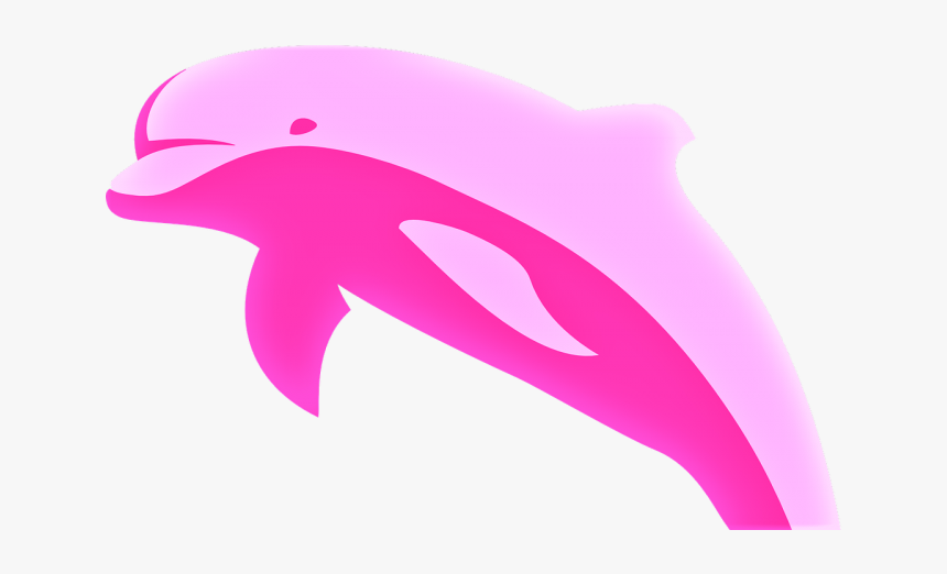 Amazon River Dolphin Clipart, HD Png Download, Free Download