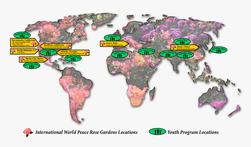 Average Annual Rate Of Change In The Number Of International, HD Png Download, Free Download