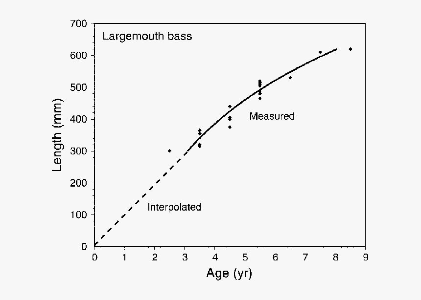 Largemouth Bass Age Based On Length, HD Png Download, Free Download