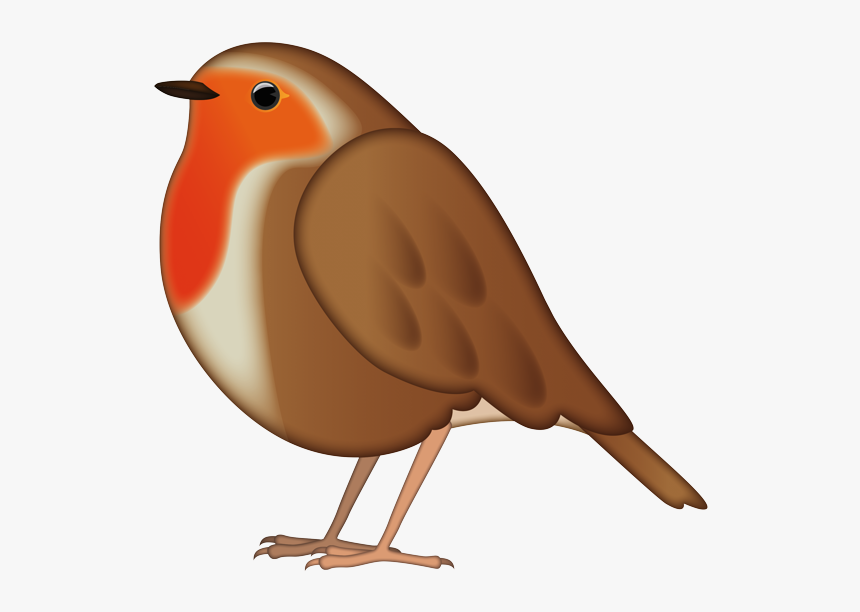 European Robin, HD Png Download, Free Download