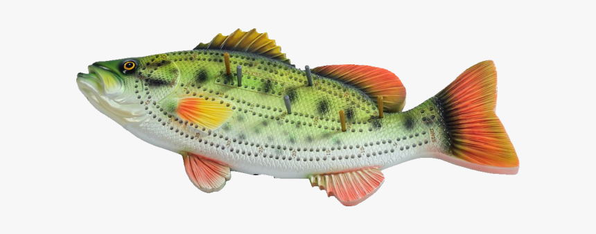 Cribbage Board - Largemouth Bass - Fish Cribbage Pike Crib Board Template, HD Png Download, Free Download