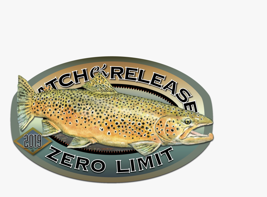 Brown Trout, HD Png Download, Free Download