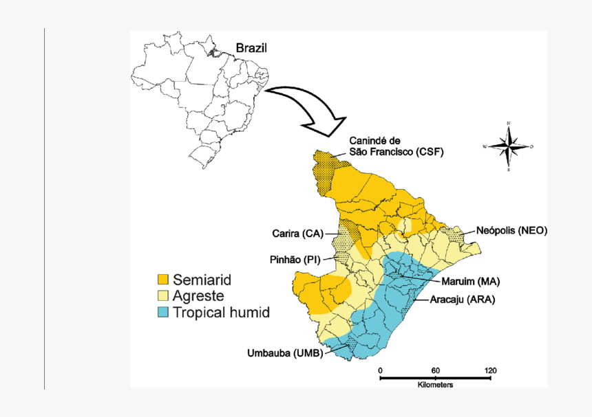 Brazil Map Png, Transparent Png, Free Download