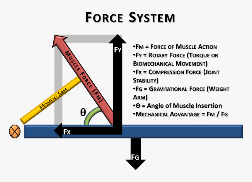 Moment Arm, HD Png Download, Free Download