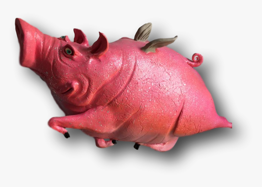 Domestic Pig, HD Png Download, Free Download