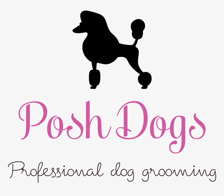 Posh Dogs Is Situated In Sileby, Leicestershire - Standard Poodle, HD Png Download, Free Download