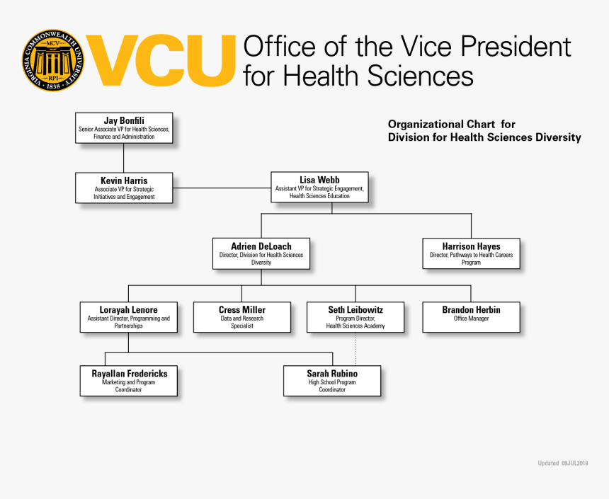 Vcu Health Organizational Chart, HD Png Download kindpng