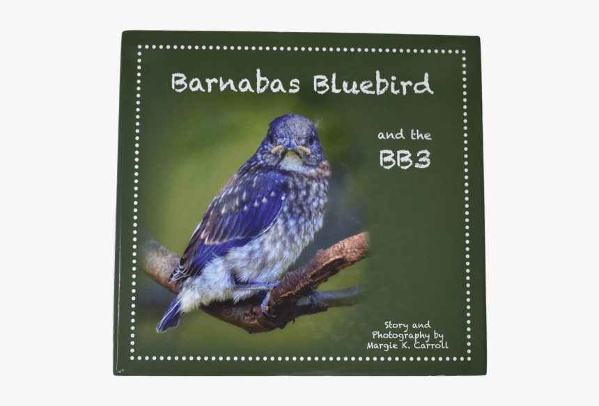 Barnabas Bluebird Book - Sharp Shinned Hawk, HD Png Download, Free Download
