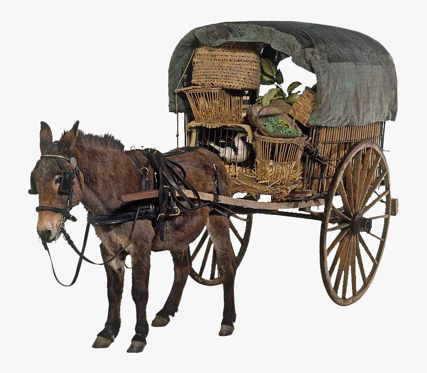 Horse And Cart Png, Transparent Png, Free Download