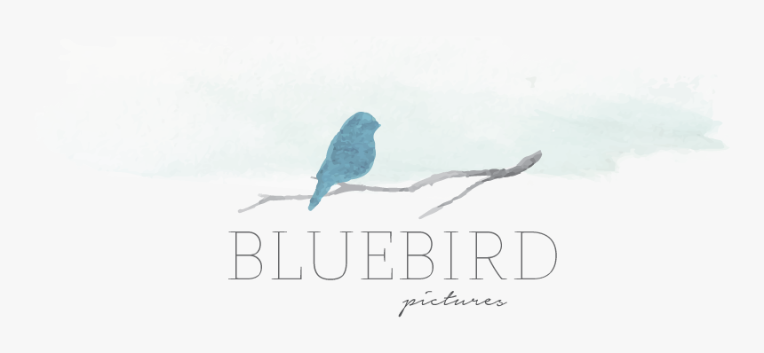Bluebird Pictures // Bree Fowles Logo - Poster, HD Png Download, Free Download