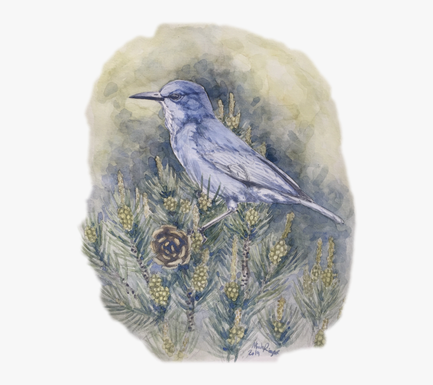 Mountain Bluebird, HD Png Download, Free Download