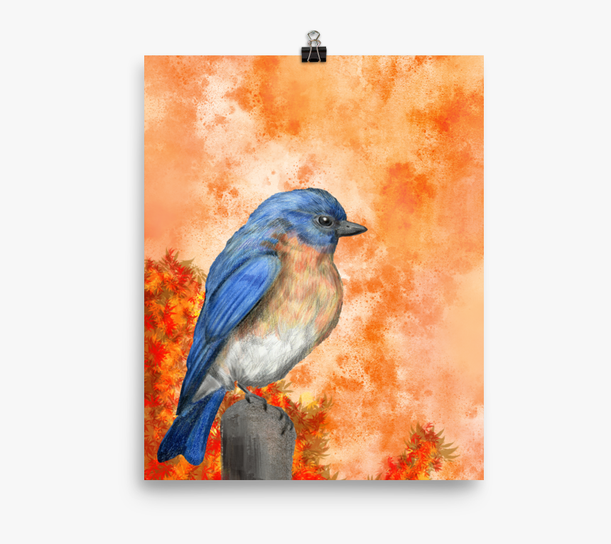 Bluebird Color Art Print - Mountain Bluebird, HD Png Download, Free Download