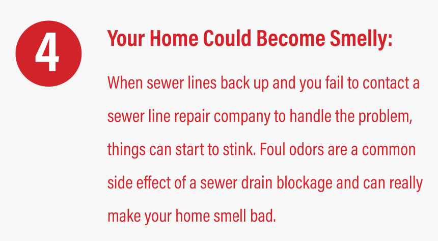 Putting Off Sewer Repair Can Cost You, Reason - Carmine, HD Png Download, Free Download