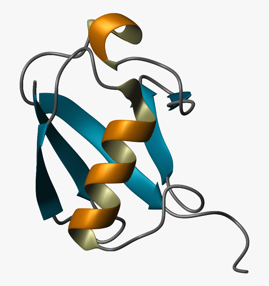 Ubiquitin Ribbon Diagram - Ubiquitin Protein Png, Transparent Png, Free Download