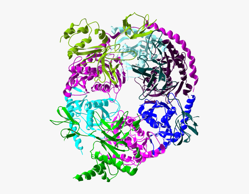 Exosome Ribbon - Exosome, HD Png Download, Free Download