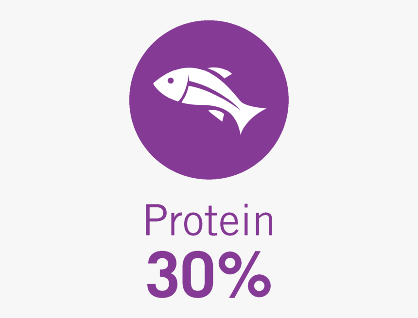 30%-protein, HD Png Download, Free Download