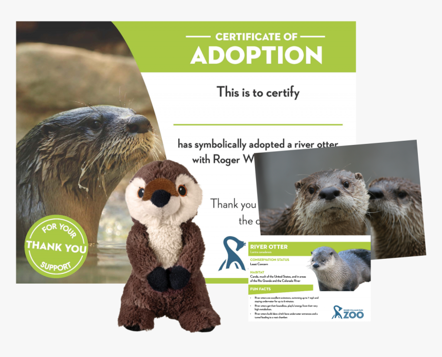 North American River Otter, HD Png Download, Free Download