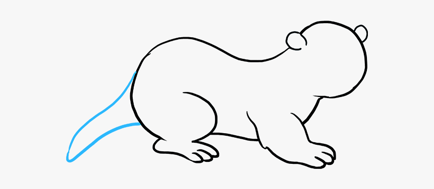 How To Draw An Otter - Sea Otter Drawing Easy, HD Png Download, Free Download