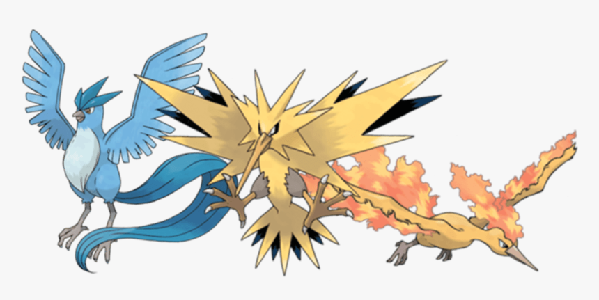 Gotta Catch "em All - Pokemon Go Teams Birds, HD Png Download, Free Download