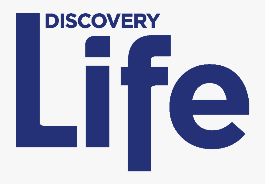 Discovery Logo Png, Transparent Png, Free Download