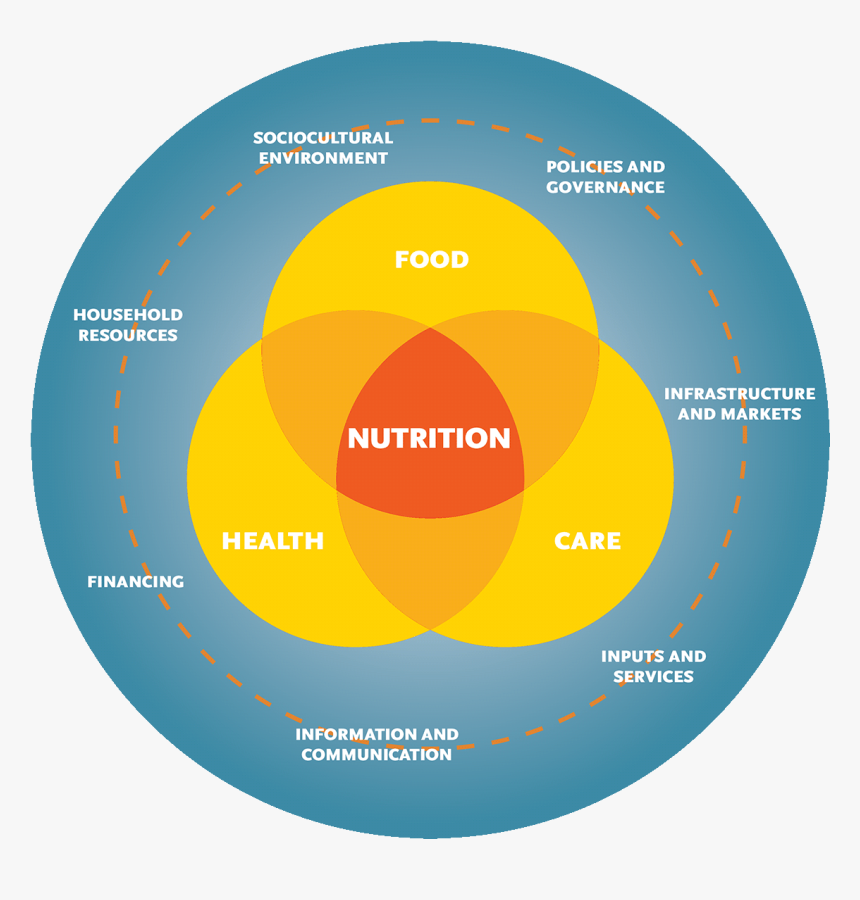 Systems Diagram - Nutrition Diagram, HD Png Download, Free Download