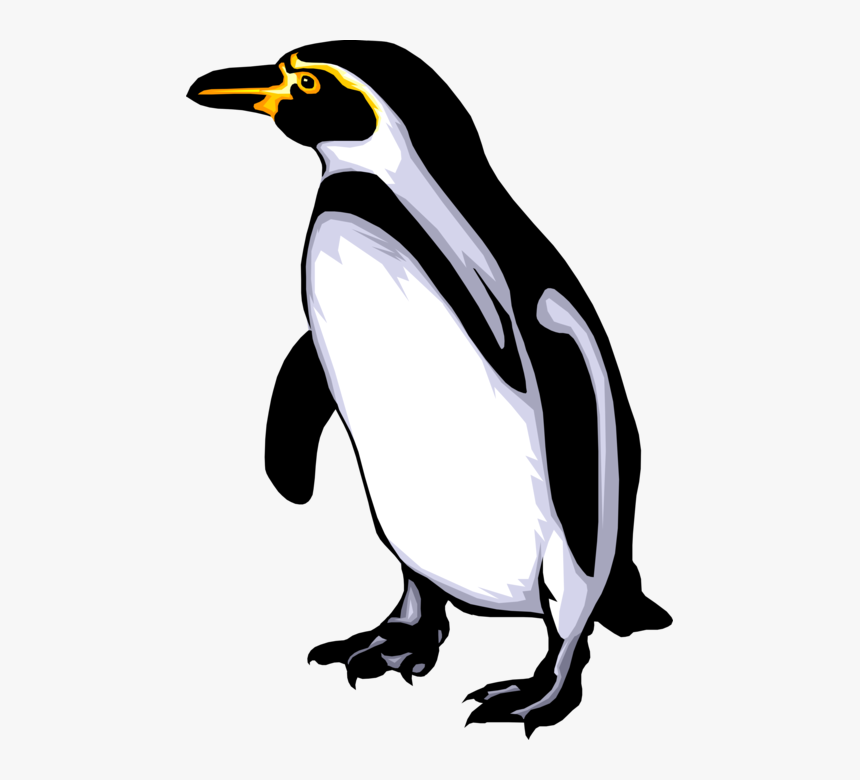 Svg Black And White Flightless Bird Waddles On Ice - Label Penguin Body Parts, HD Png Download, Free Download