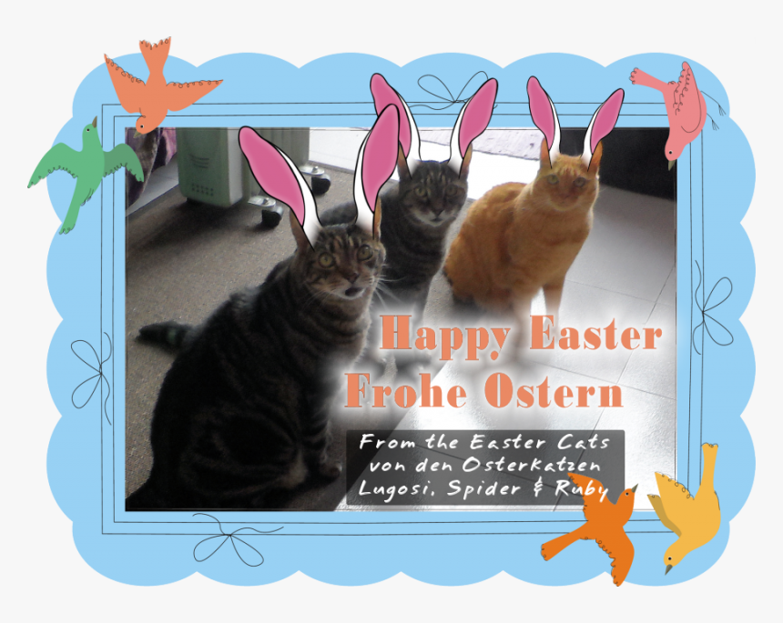 Happy Easter From The Easter Cats - Squitten, HD Png Download, Free Download