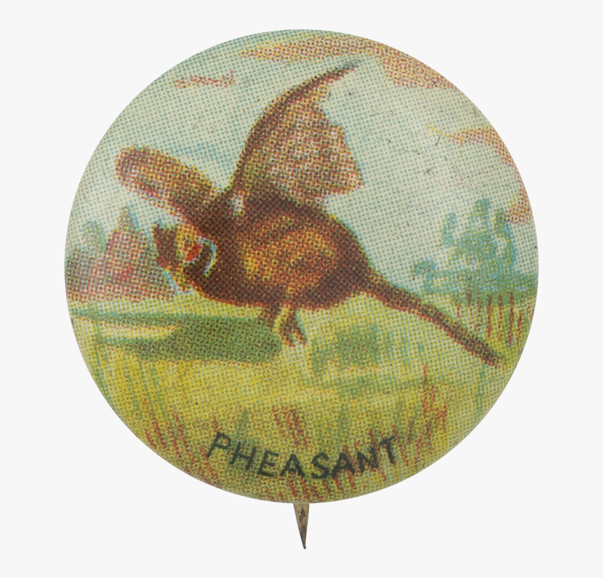 Pheasant Art Button Museum - Shorebird, HD Png Download, Free Download