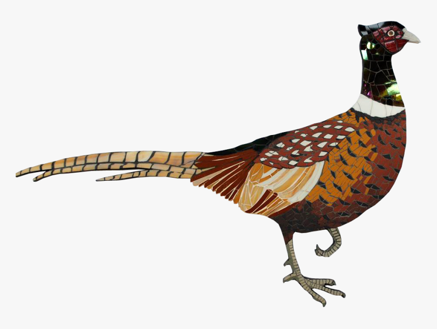 Transparent Pheasant Clipart - Ring-necked Pheasant, HD Png Download, Free Download