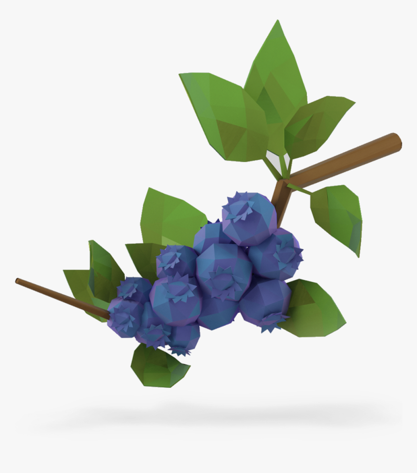 Lowbush Blueberries - Lowbush Blueberry Png, Transparent Png, Free Download