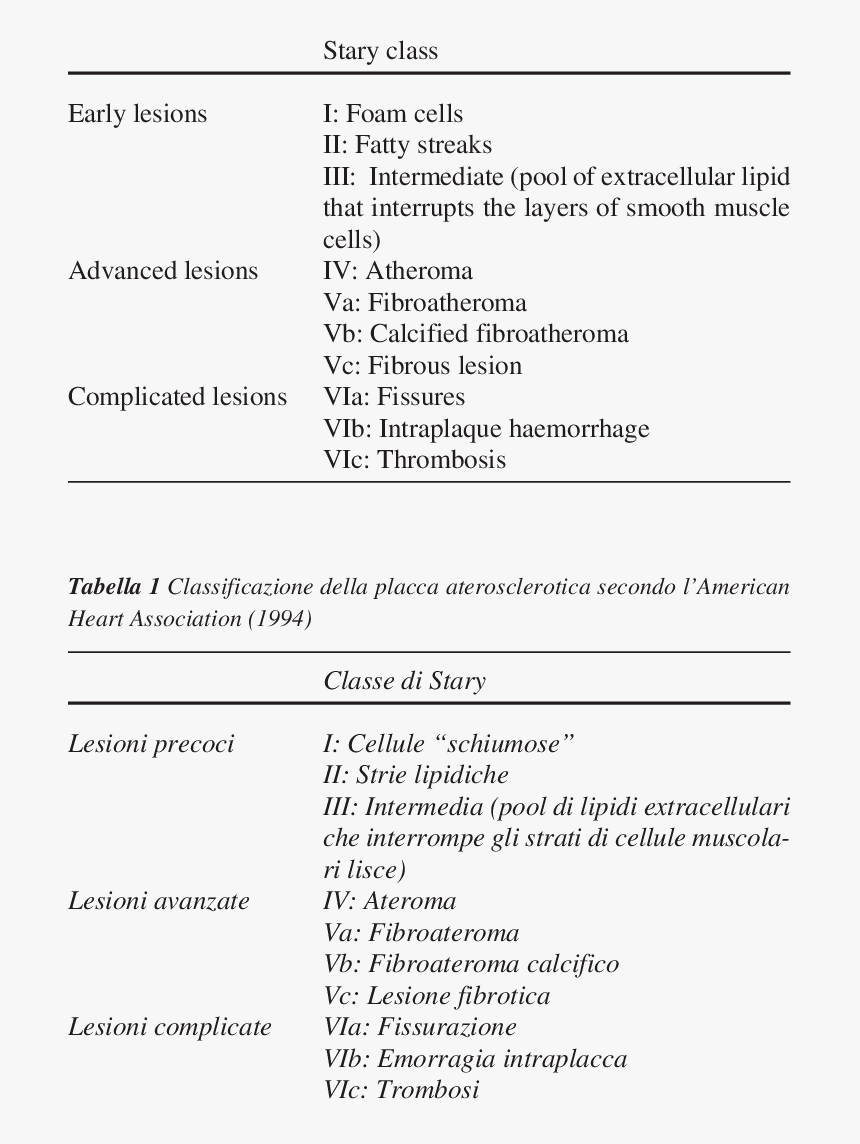 Classification Of Atheromatous Plaque, HD Png Download, Free Download