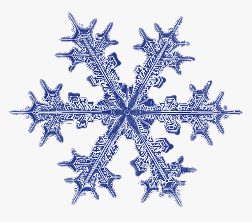 Snowflake // Here’s Another Realistic Snowflake - Realistic Snowflake Transparent Background, HD Png Download, Free Download