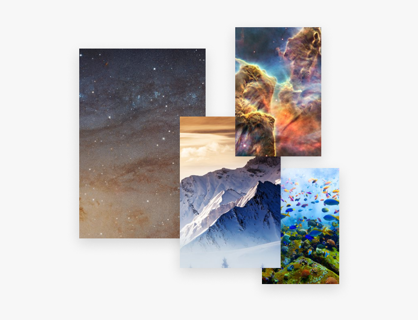 Painting, HD Png Download, Free Download