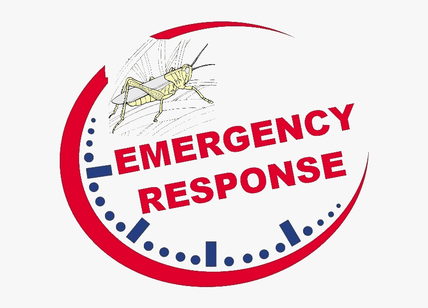 Timely Response Locust - Circle, HD Png Download, Free Download