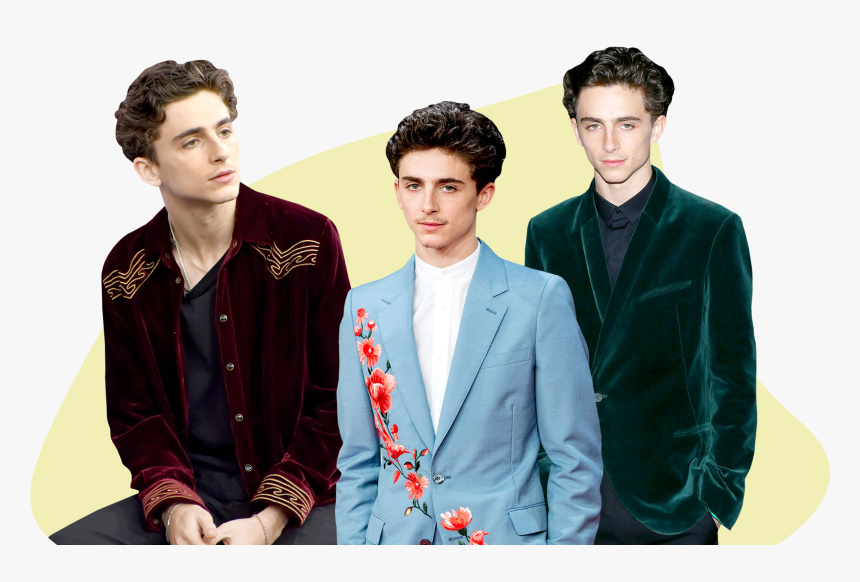 Transparent Fashion Models Png - Timothee Chalamet Styling, Png Download, Free Download