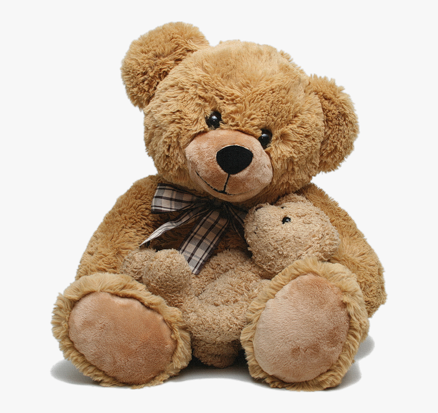 transparent cover for teddy bear