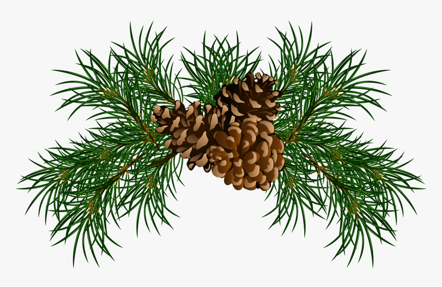 Pine Cliparts - Christmas Pine Cone Png, Transparent Png, Free Download