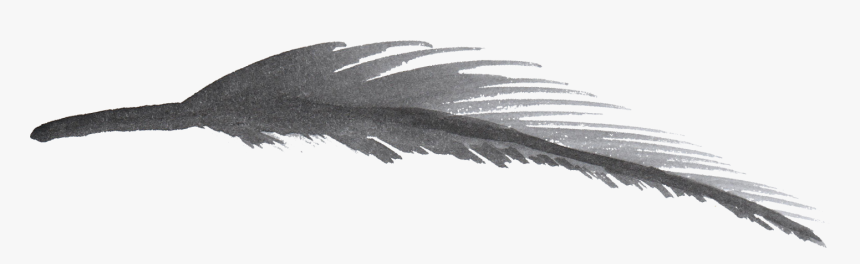 Transparent Feather Watercolor Png, Png Download, Free Download