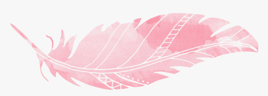 Pink Feathers Png - Illustration, Transparent Png, Free Download