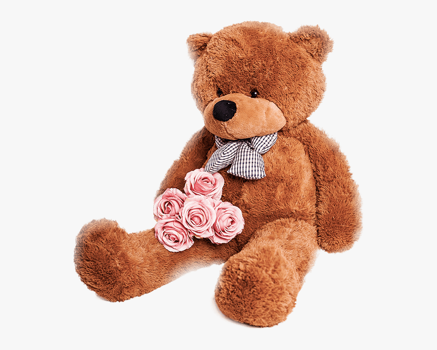 transparent cover for teddy bear