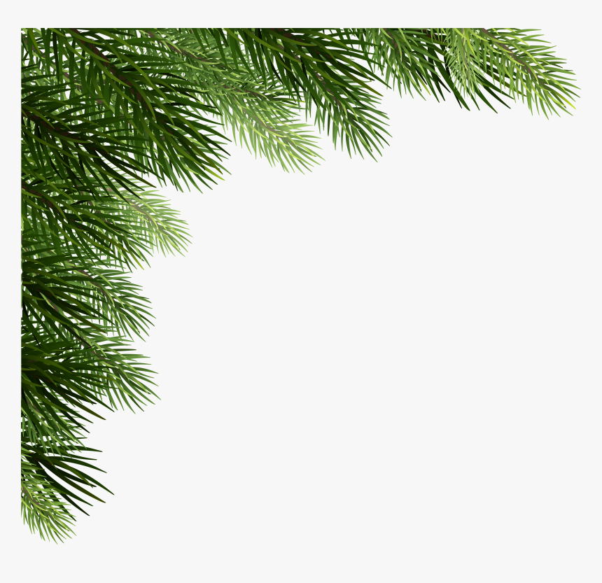 Transparent Pine Cone Clip Art Branch Christmas Tree Png Png