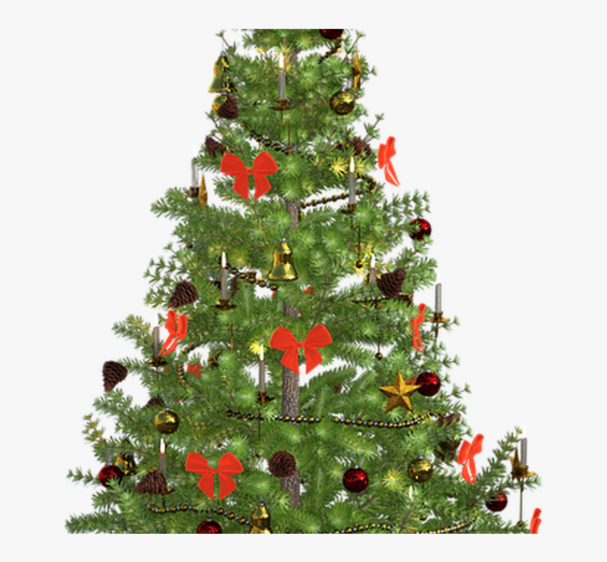 Fir Tree Christmas Lights Free Image On Pixabay - Part Time Justin, HD Png Download, Free Download
