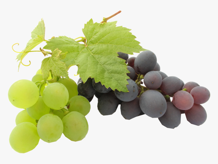 Black Grapes Png Transparent Background - Grapes Png, Png Download, Free Download