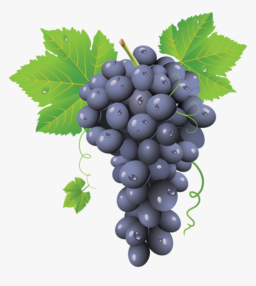 Grapes Png Image - Grape Png, Transparent Png, Free Download