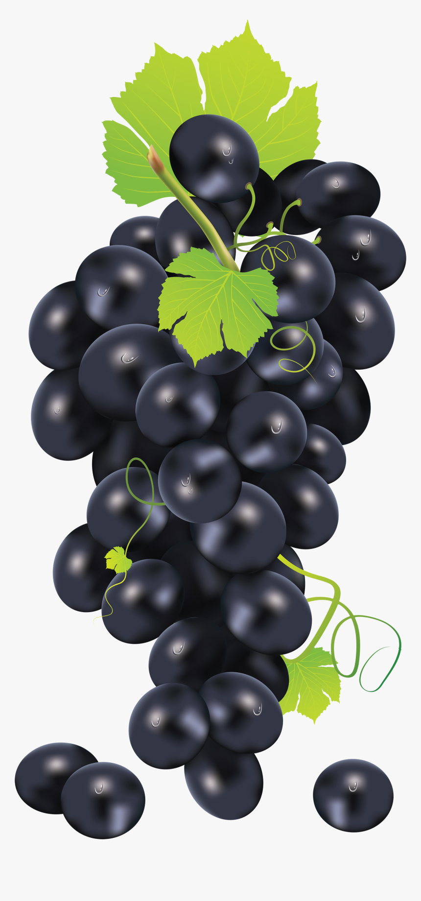 Black Grape Png Image - Black Grape Png, Transparent Png, Free Download